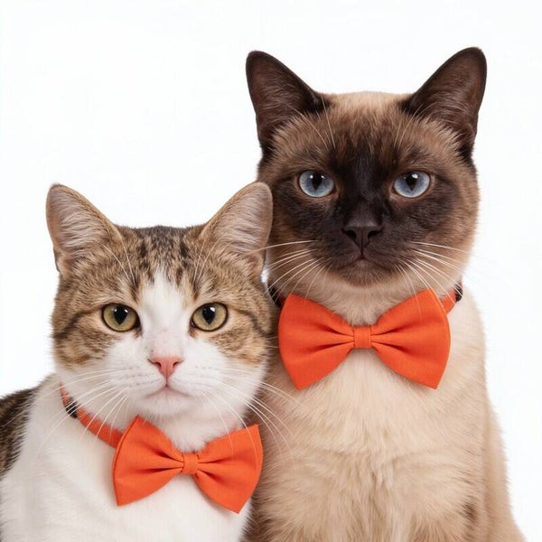 Katten strikje met handige verstelbare sluiting oranje