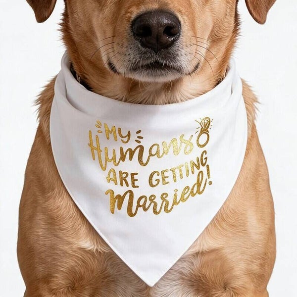 Honden of katten bandana My Humans are getting Married wit met rose goud/koper