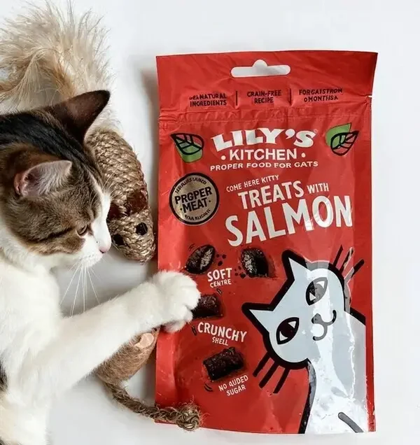 Katten cadeau en snack pakket zalm en muisjes