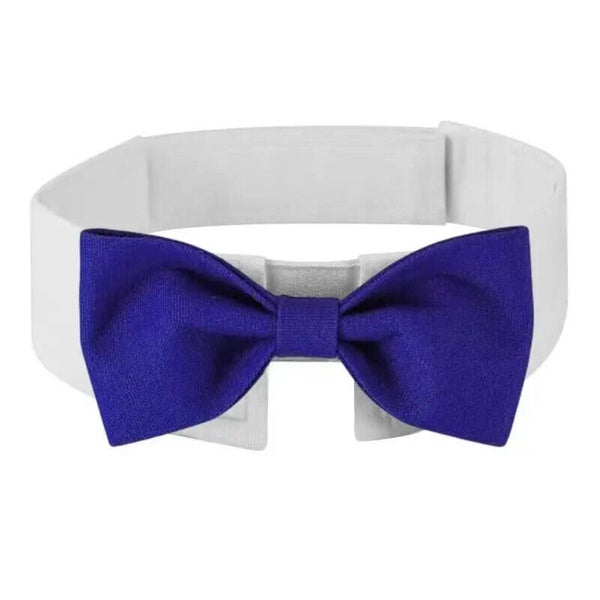 Luxe hondenstrik met wit boord en blauwe strik maat S, M en L