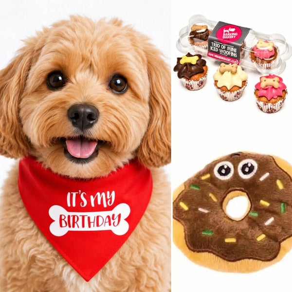 Honden cadeau- en snack pakket met bandana, 3 muffins en 1 donut speeltje