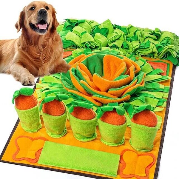 Honden activiteiten en snuffelmat Playing with Carrots