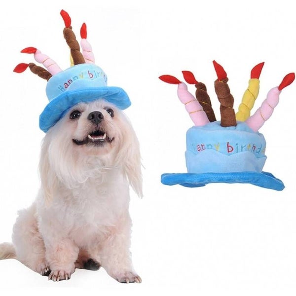Soft pluche Happy Birthday hoed voor honden blauw