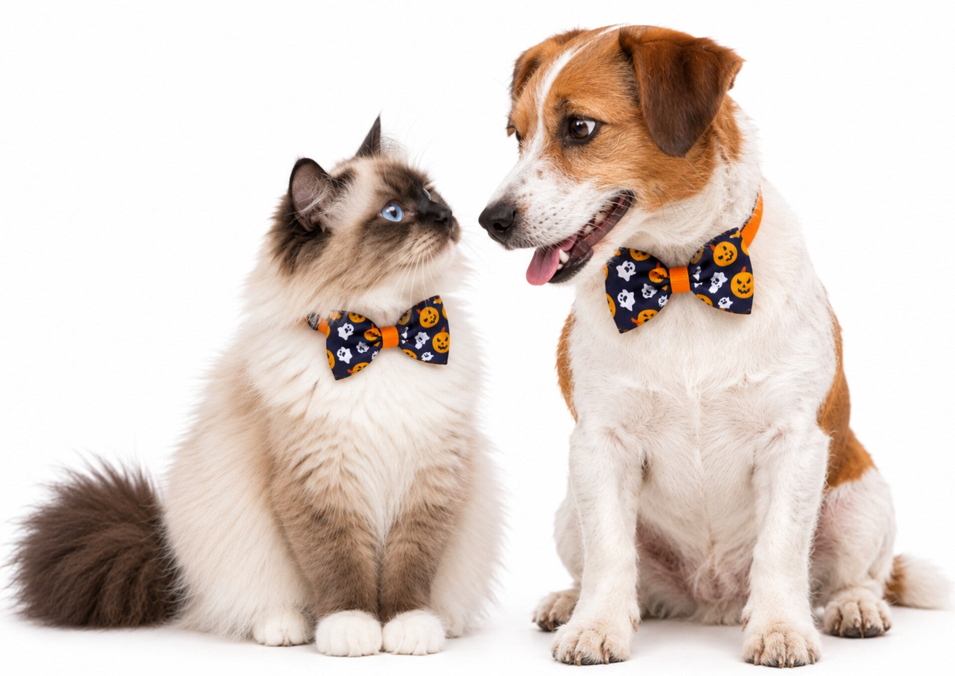 Halloween dasstrik voor honden of katten