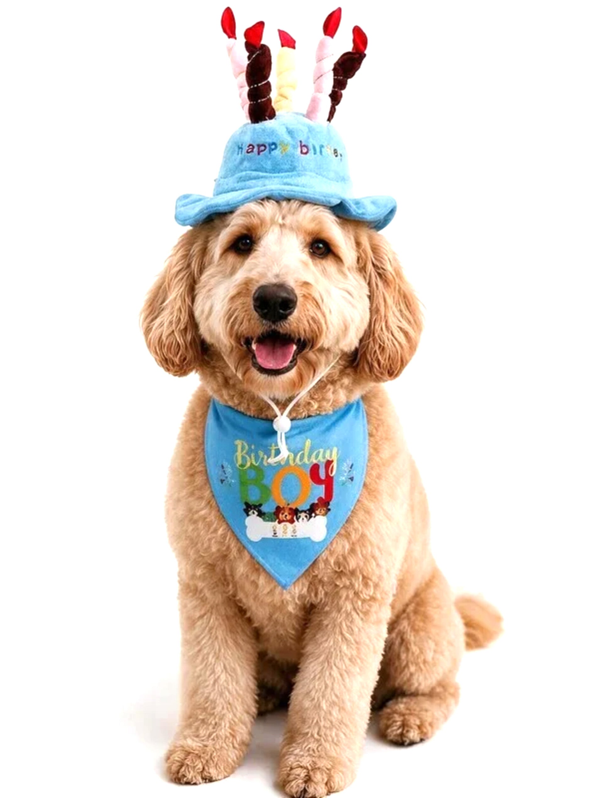 2 delige verjaardagset met hoed en bandana voor de hond blauw