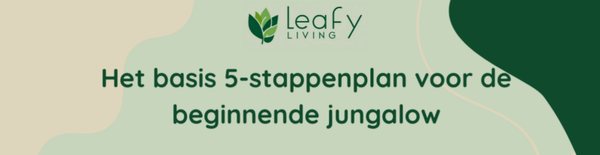 Het basis 5-stappenplan voor de beginnende jungalow