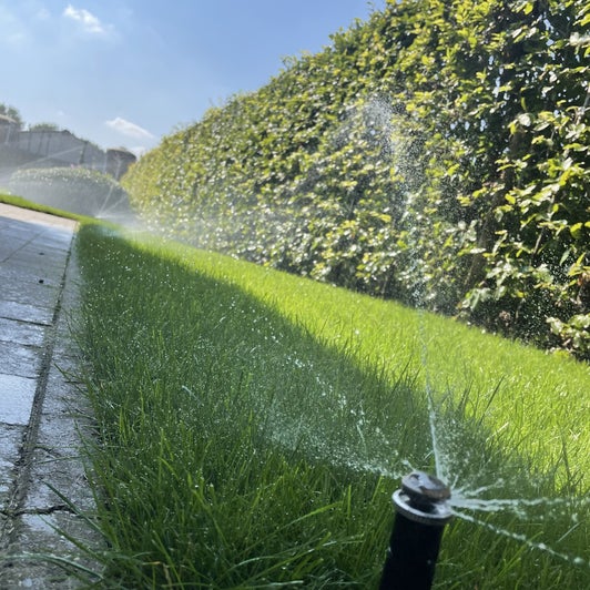 Beregening van een gazon langs een haag