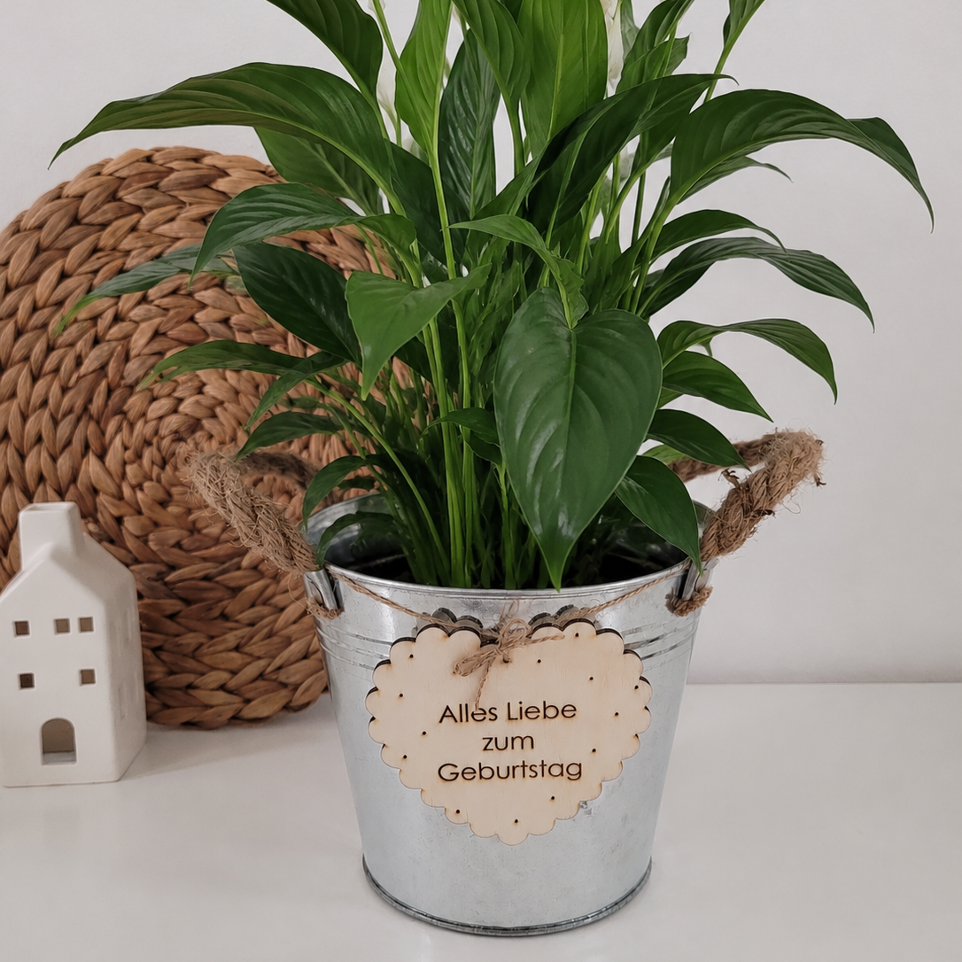 Blumentopf Alles Liebe zum Geburtstag