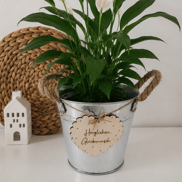 Blumentopf Herzlichen Glückwunsch