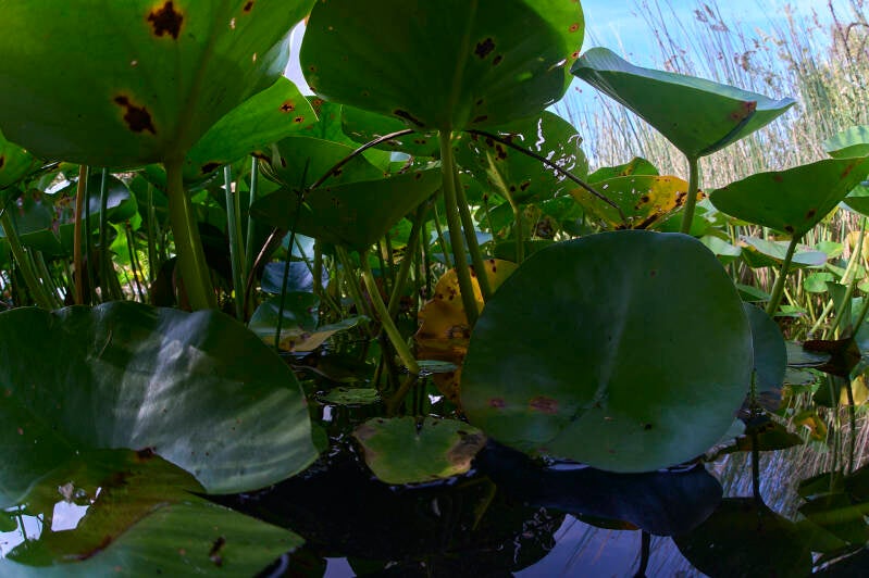 js_01_garten-standard.jpg