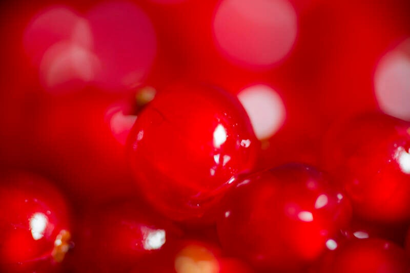 rund_jmk_02_20260620_102023_nikonz6_3-standard.jpg