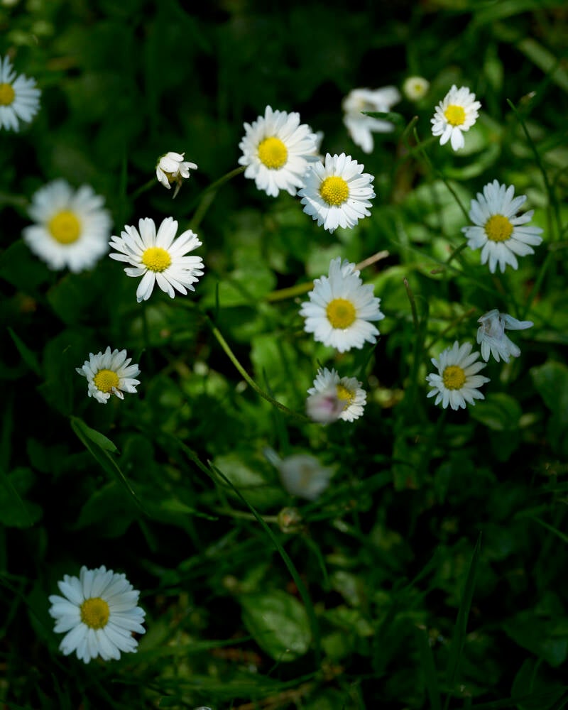 rund_juergen-struss_01_im-rasen-standard.jpg