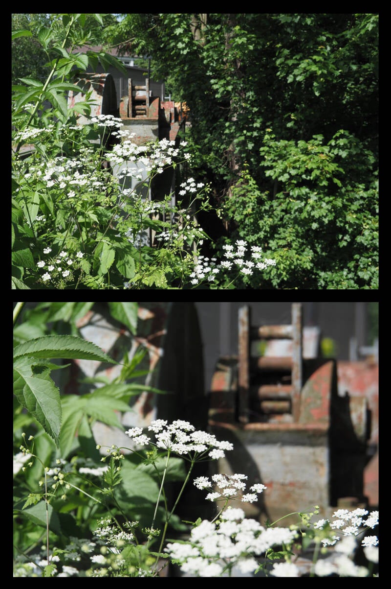sabine_m_totale_detail_03_bruecke-standard.jpg