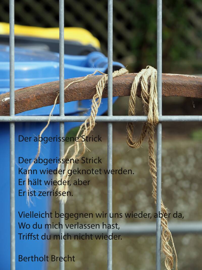 sabine_merz_02_strick_bb_-standard.jpg