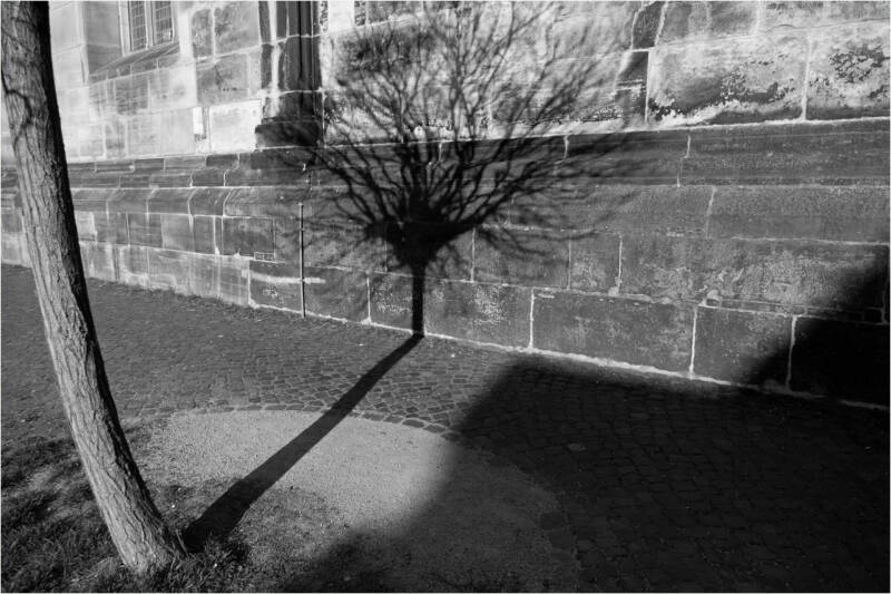 sg-schatten-baum-st-andreas-bdm-april-standard.jpg