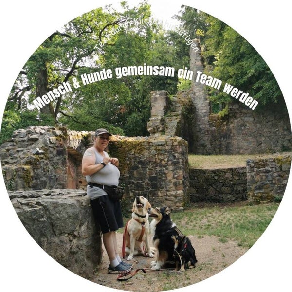 Mensch & Hund - Gemeinsam ein Team werden