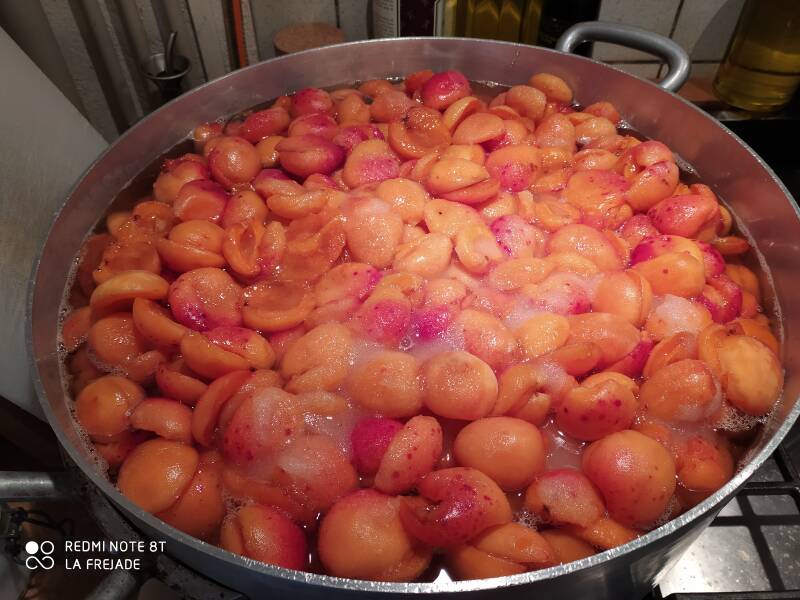abricots-en-cuisson-standard.jpg