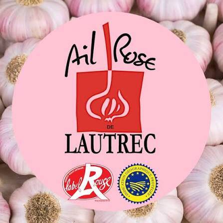 ail-rose-de-lautrec-standard.jpg