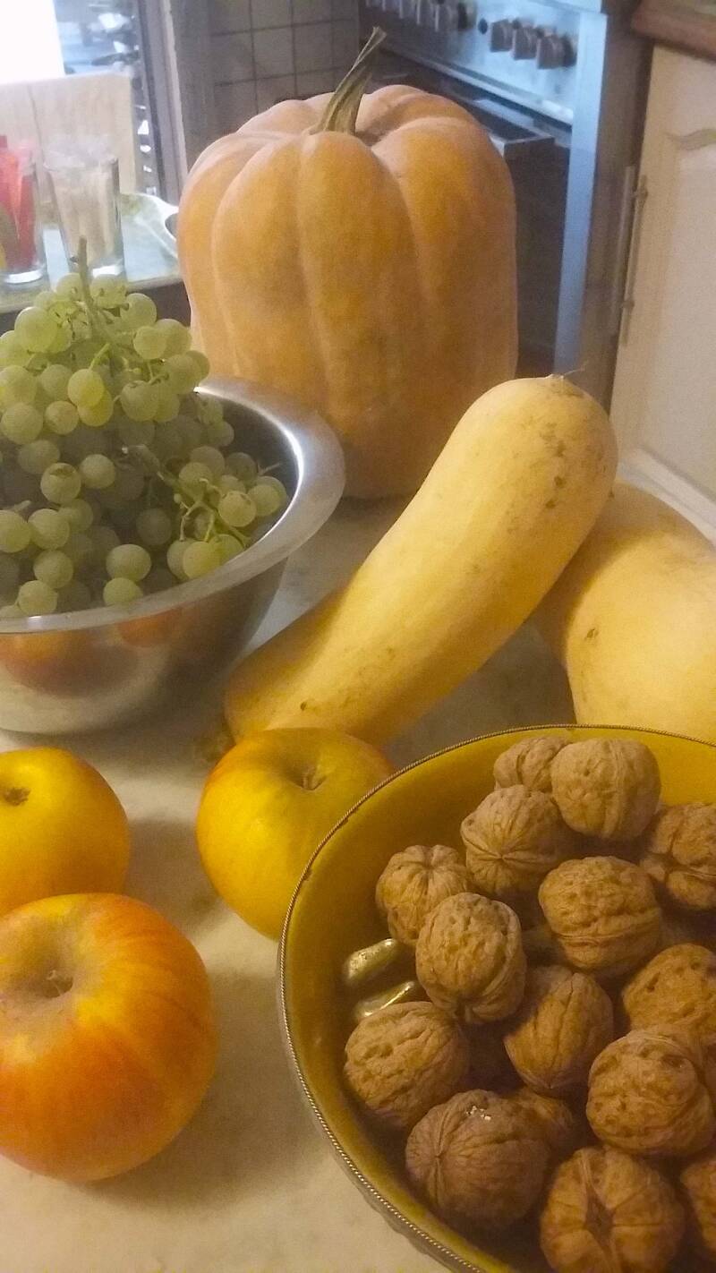 fruits-d-automne-standard.jpg