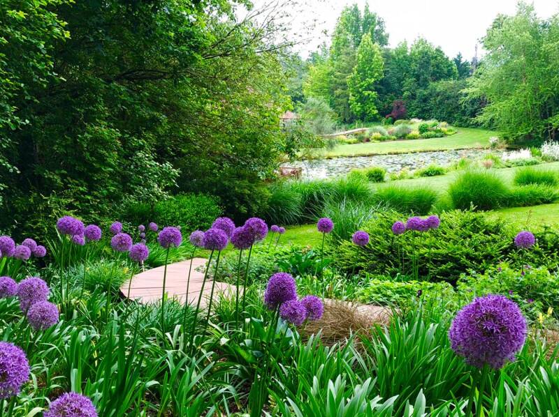 jardins-des-martels-standard.jpg