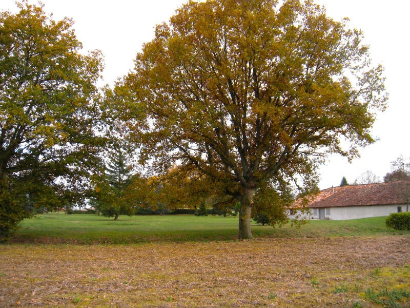 le-gite-standard.jpg