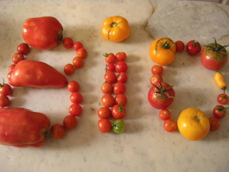 le-gumes-bio-standard.jpg