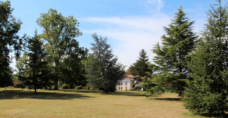 pano-standard-j7jsgx.jpg