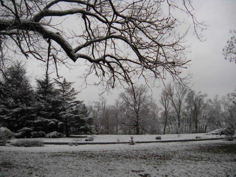 parc-sous-la-neige-2-standard.jpg