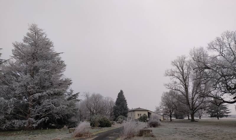 parc-sous-la-neige-standard.jpg