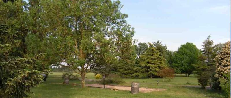 terrain-de-boules-standard.jpg