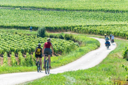 ve-lo-dans-les-vignes-standard.jpg