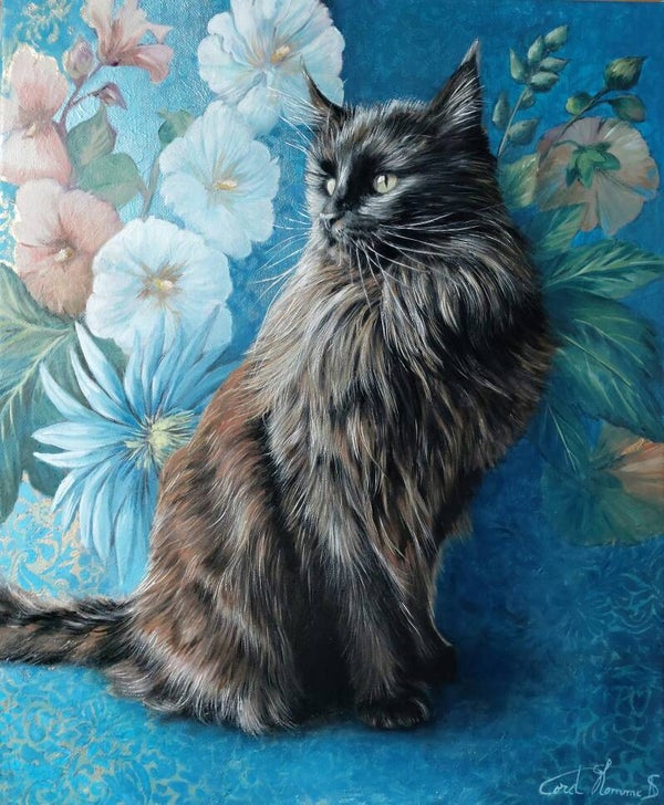 Paxton (chat Maine Coon)