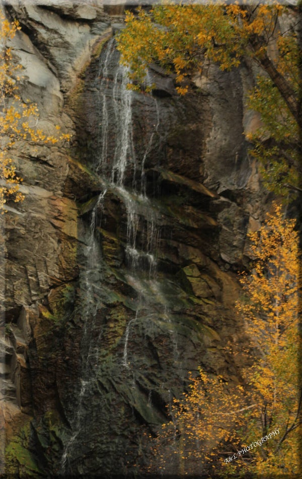 BEAUTIFUL BRIDALVEIL FALLS AMONGST THE BEAUTIFUL FALL FOLIAGE IN SPEARFISH CANYON