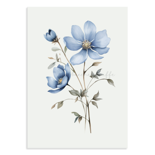 Postkarte - BLAUE ANEMONE