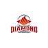 Diamond Ammo Enterprises