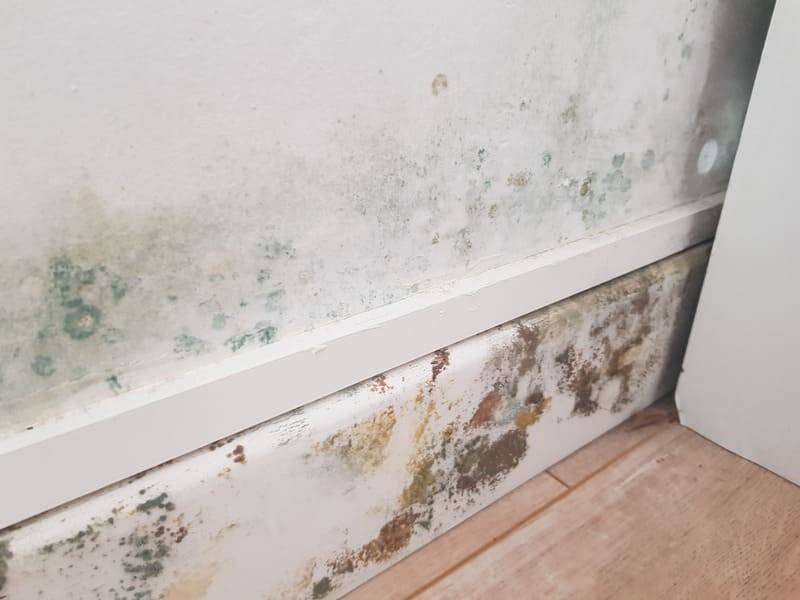 humidité-venteimmobiliere-thiais