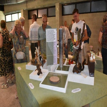 dsc_1216-standard.jpg