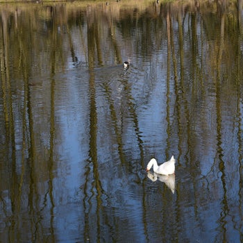 dsc_9133-standard.jpg