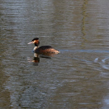 dsc_9148-standard.jpg