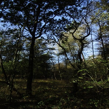 weerterbos2910202197jpg-1.jpg