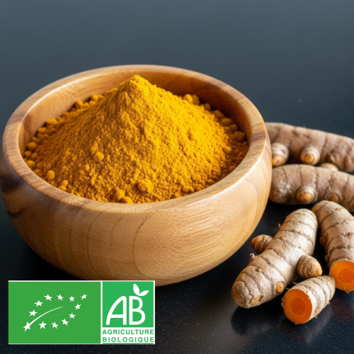 Curcuma moulu bio de Madagascar