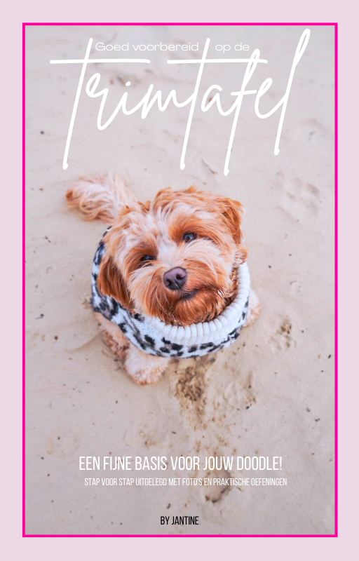 Goed voorbereid op de trimtafel - E-guide