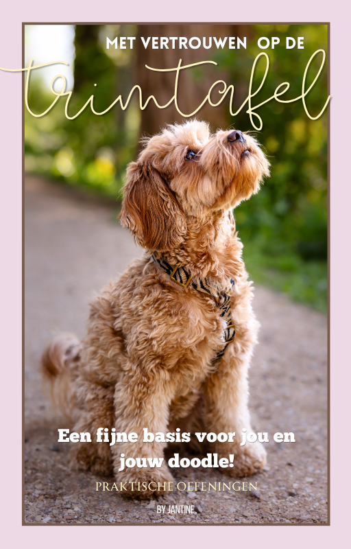 Goed voorbereid op de trimtafel - E-guide