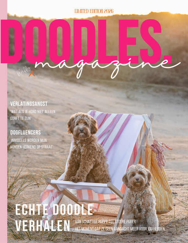 DOODLES. magazine - B2B