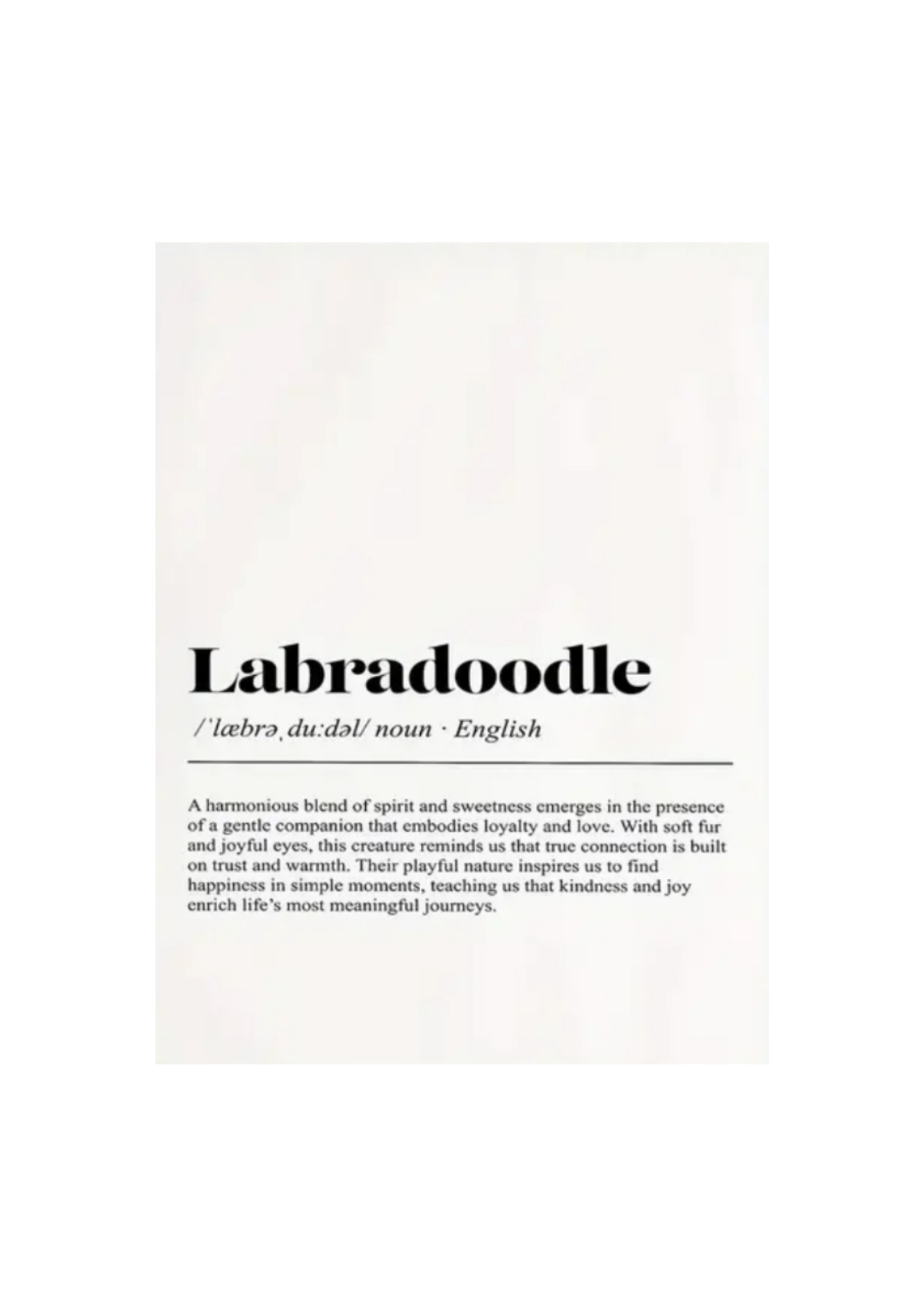 Labradoodle poster