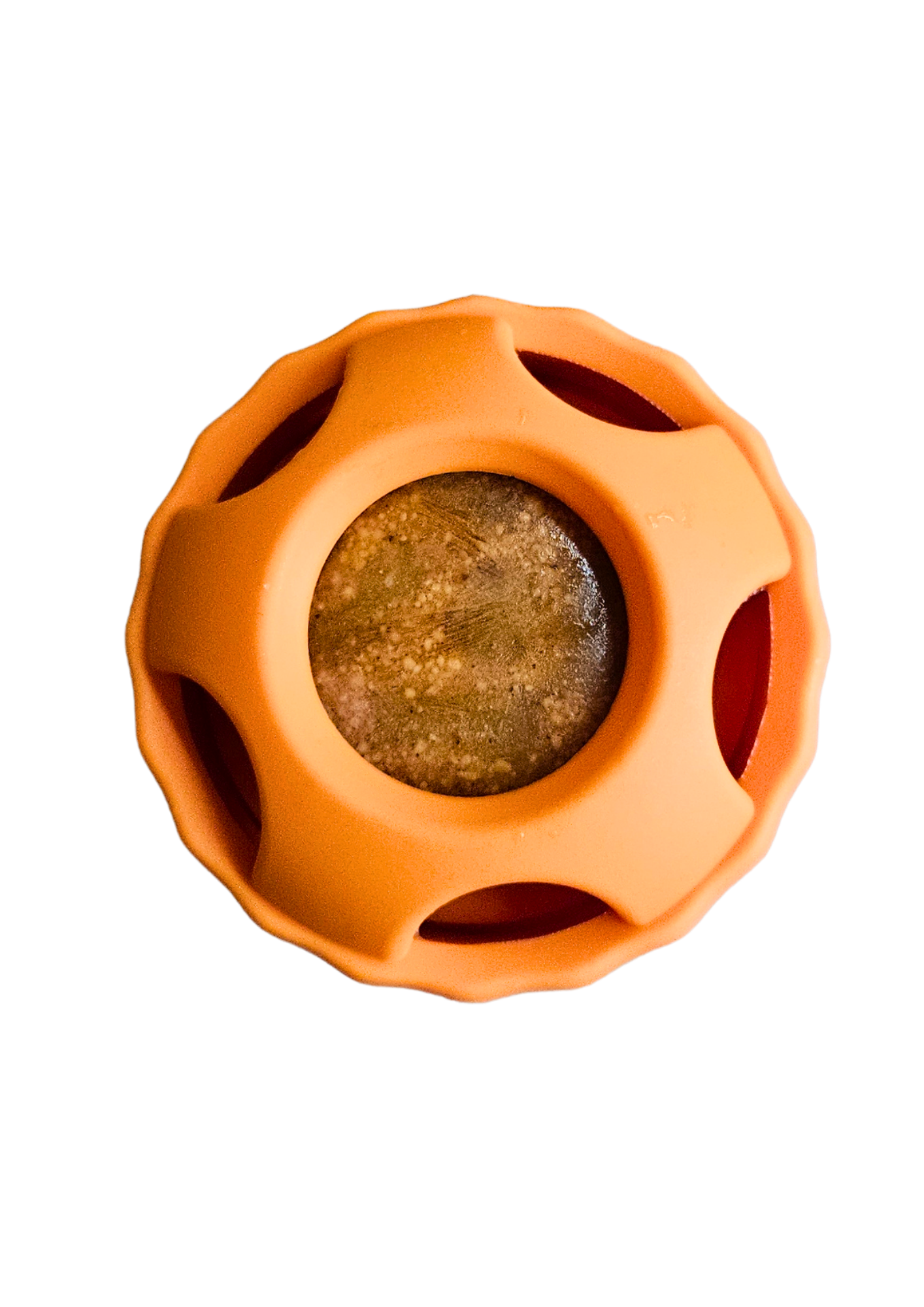 Pupsicle ORANGE