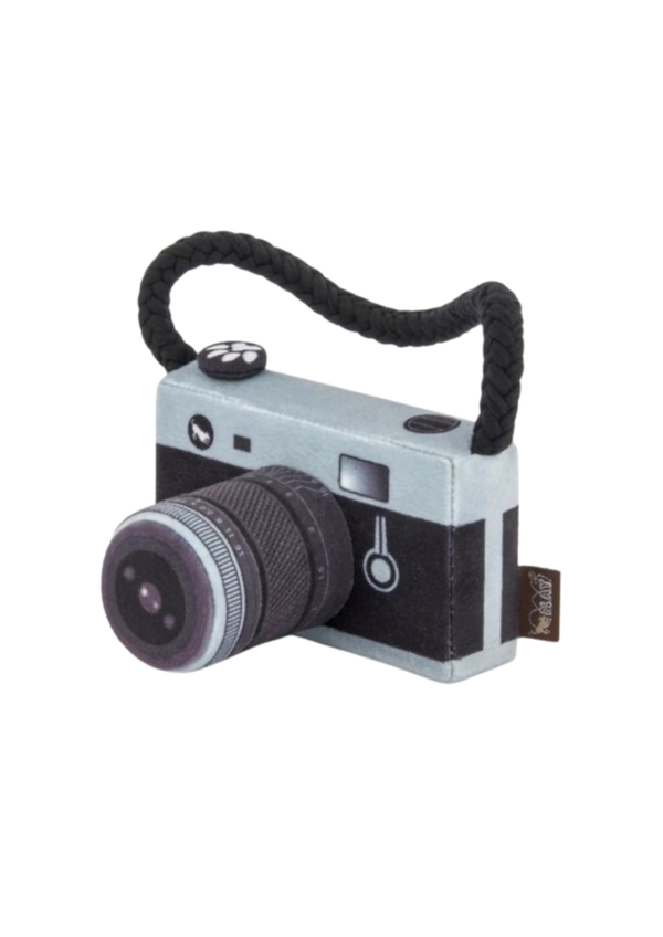 P.L.A.Y. Camera