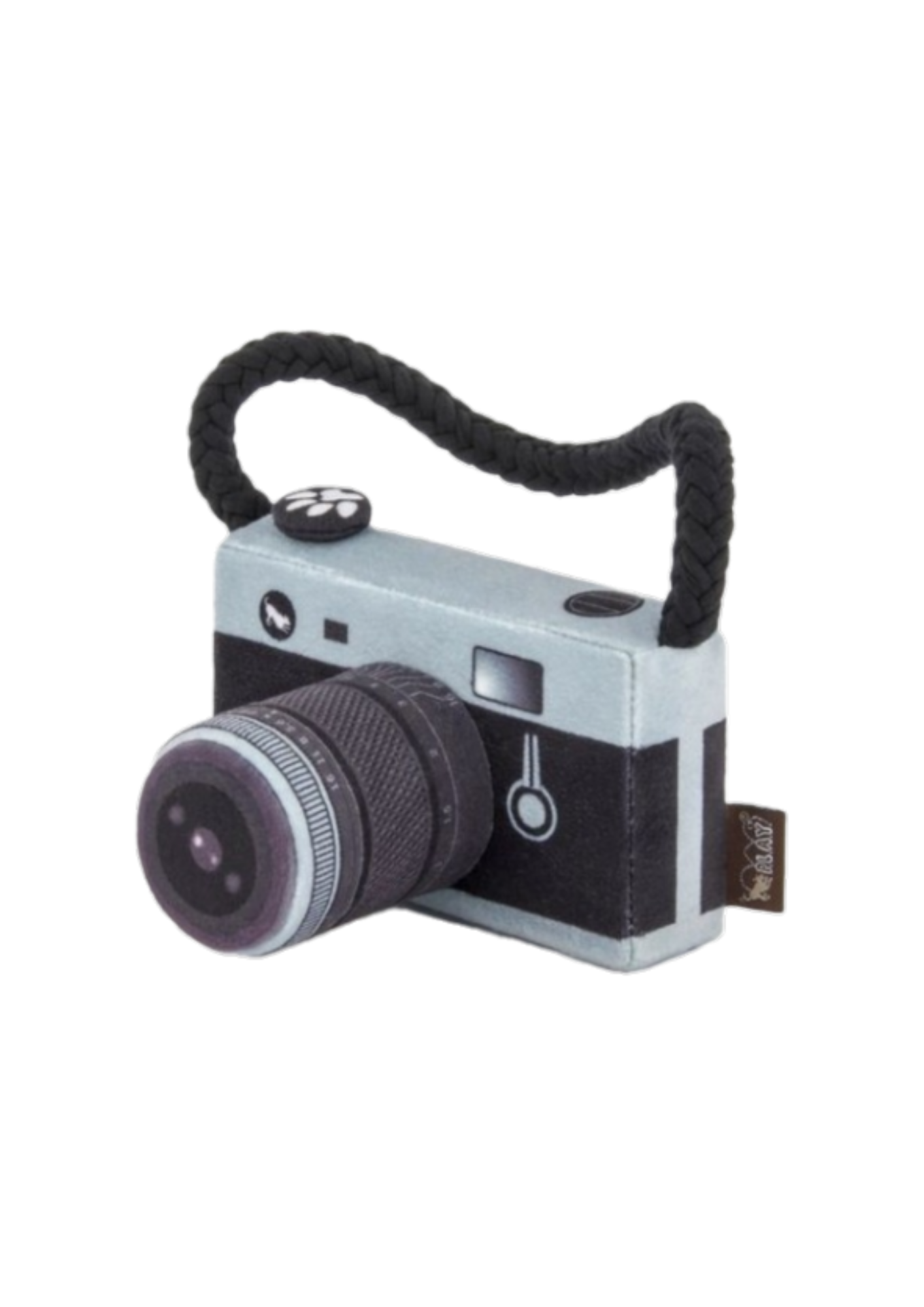 P.L.A.Y. Camera