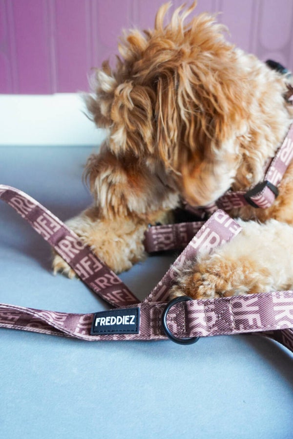 FREDDIEZ - Riem denim brown