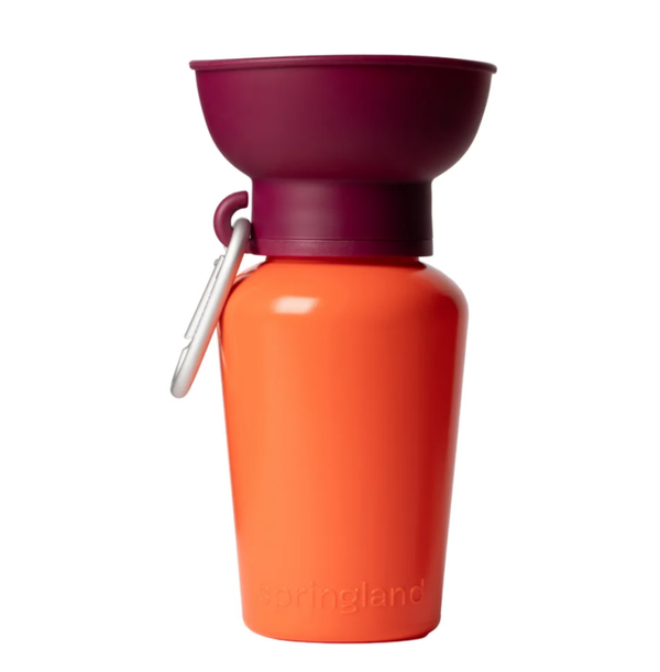 Springland Flip Travel Bottle LIMITED EDITION Valencia